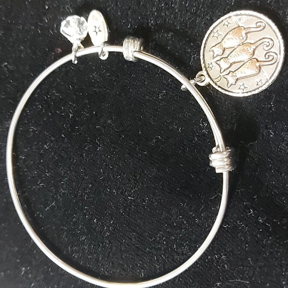😽Free Kitty Cat Adjustable Bracelet😽